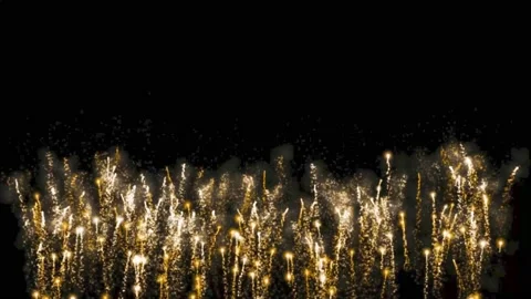 Firework 133 Stock Footage 219802313