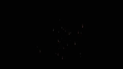 Firework 141 Stock Footage 224623513