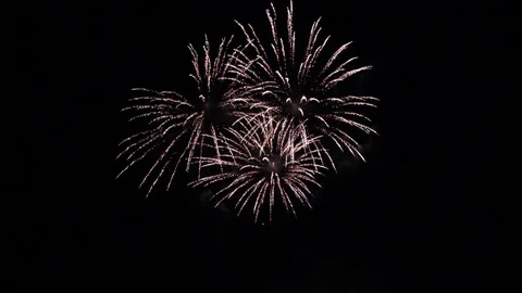Firework 4 Stock Footage 101161655