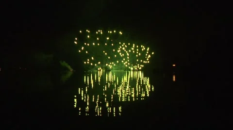 Firework 42  Stock Footage 8601053