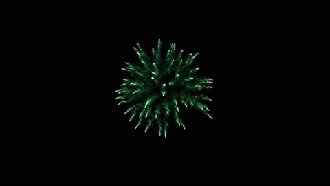 Firework 45 Stock Footage 233143189