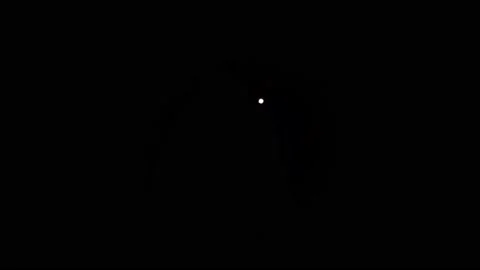 Firework 49 Stock Footage 233143193