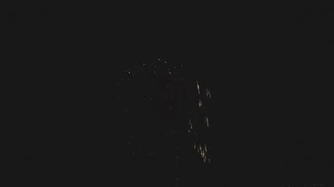 Firework 50 Stock Footage 224622648