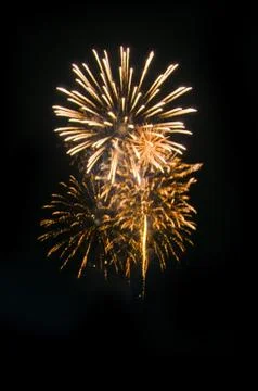 Firework for background,Fireworks light up the sky Stock Photos