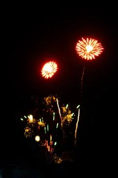 Firework for background,Fireworks light up the sky,New Year celebration Stock Photos