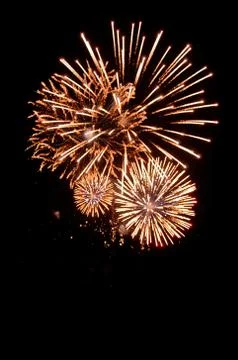 Firework for background,Fireworks light up the sky,New Year celebration Stock Photos