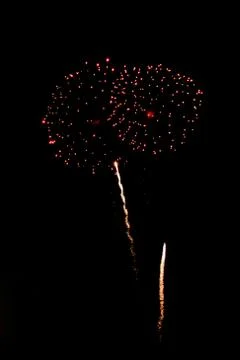 Firework for background,Fireworks light up the sky,New Year celebration Stock Photos