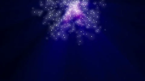 Firework On The Black Background Vidéo 94339563