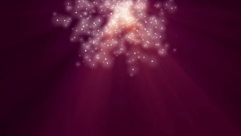 Firework On The Black Background Stock-Footage 94342548