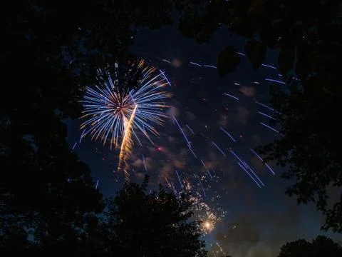 Firework Burst Through Trees Stock Photos