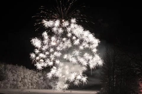 Firework celebration 写真素材