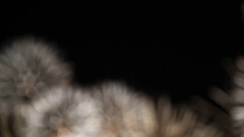 Firework - concept of completion of any holiday: Chinese new year, New year Stock Footage 79632725