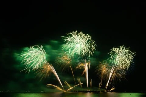 Firework in dark sky background Stock Photos