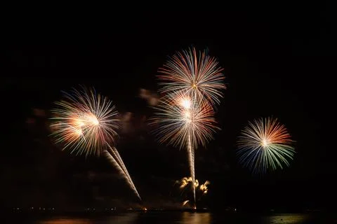 Firework in dark sky background Stock Photos