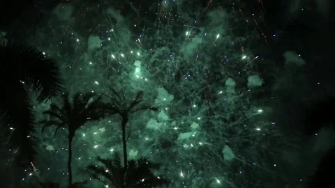 Firework Display Light of the Sky in West Palm Beach Stock Footage 77517067