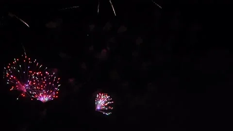 Firework display in night sky Stock Footage 220658566