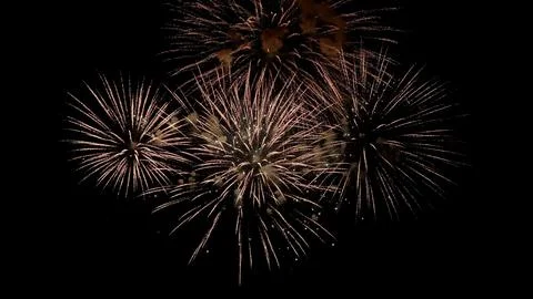 Firework display spectacle, night sky illuminated with fireworks, vivid Stock Photos