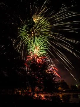 Firework Display Through Silhouette Trees Stock Photos