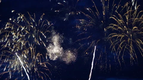 Firework on evening sky Stock Footage 91048065