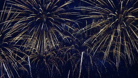 Firework on evening sky Stock Footage 91049073