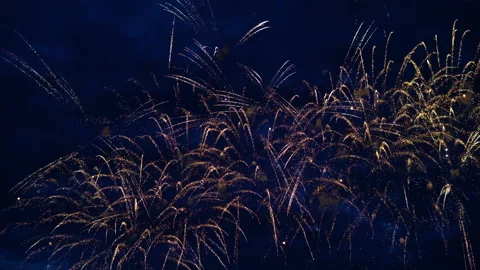 Firework on evening sky Stock Footage 91049725