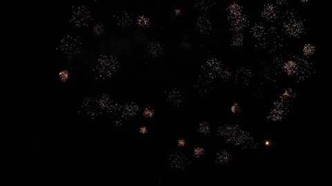 Firework exploding crowns with shimmering traces and sparks in black sky Video stock 254462174