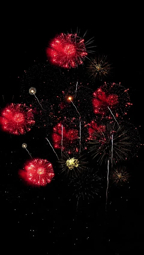 Firework exploding night sky. Fireworks pyrotechnic devices designed for Stock Footage 333897904