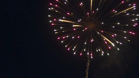 Firework Exploding in the Night Sky Stock Footage 92450070