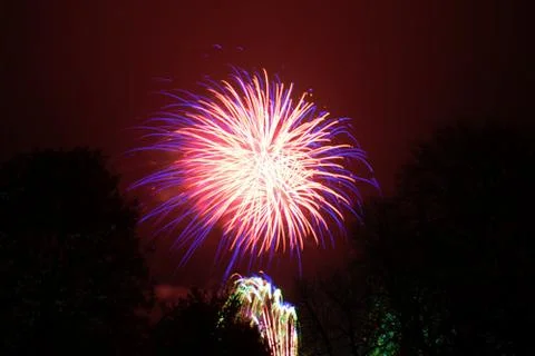 Firework exploding, in the night sky Stock Photos