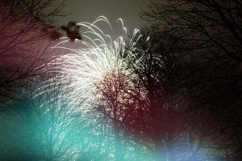 Firework exploding, in the night sky Stock Photos
