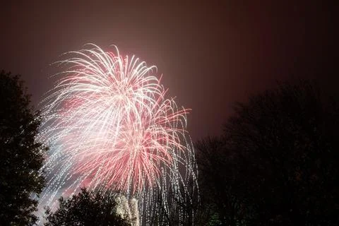 Firework exploding, in the night sky Stock Photos