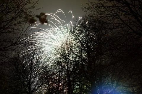 Firework exploding, in the night sky Stock Photos