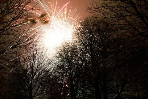 Firework exploding, in the night sky Stock Photos