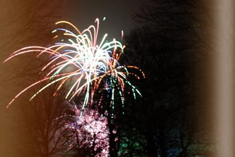 Firework exploding, in the night sky Stock Photos