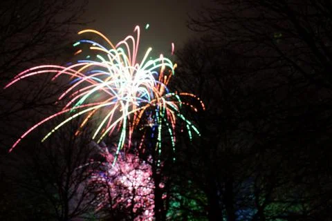 Firework exploding, in the night sky Stock Photos