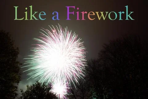 Firework exploding, in the night sky Stock Photos