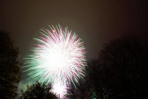 Firework exploding, in the night sky Stock Photos
