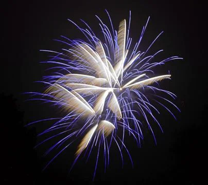 Firework exploding, in the night sky Stock Photos