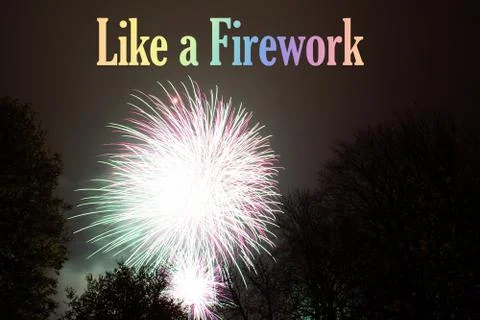 Firework exploding, in the night sky Stock Photos