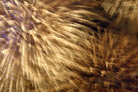 Firework exploding Stock Photos