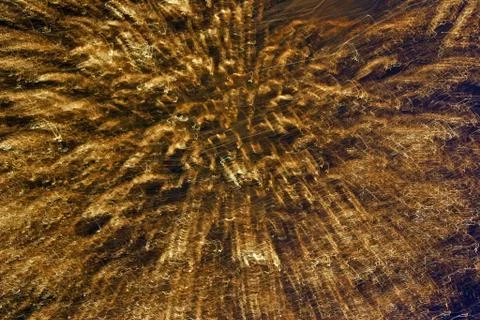 Firework exploding Stock Photos