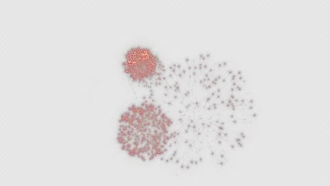 Firework Explosion on Alpha Channel Stock Footage 295012614