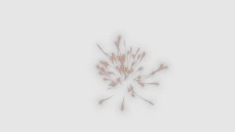 Firework Explosion on Alpha Channel Stock Footage 296307712