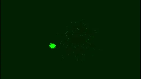 Firework Explosion and Sparkle Burst Animation Video Background Stock Footage 344709751