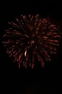 Firework explosion on black background Stock Photos