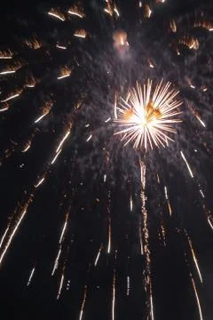 Firework explosion on dark sky Stock Photos