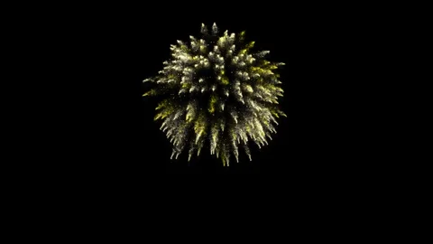 Firework Explosion Stock Footage 101223536