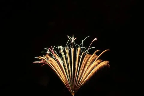 Firework explosion isolated on a black background 库存照片