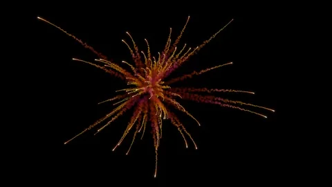 Firework explosion with trails. Stock Footage 94343095