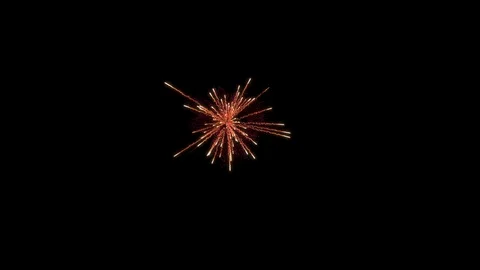 Firework explosion with trails. Stock Footage 95534778